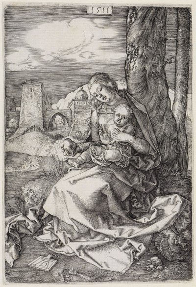  da Albrecht Dürer