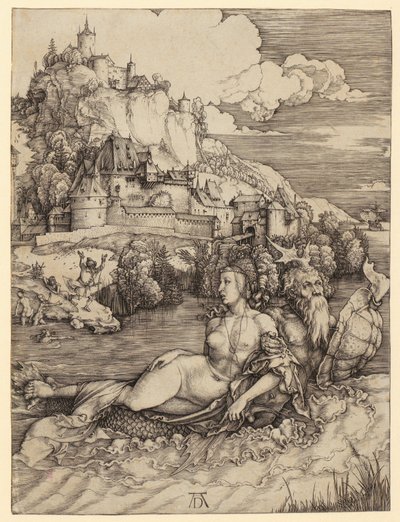  da Albrecht Dürer