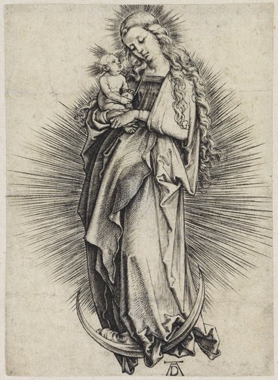  da Albrecht Dürer