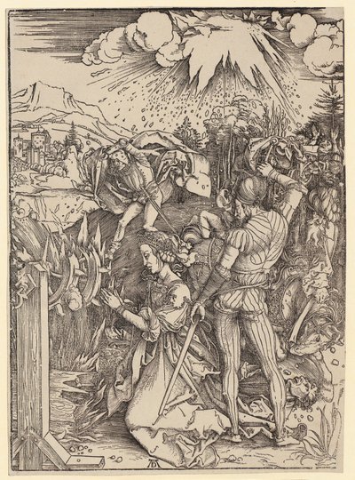  da Albrecht Dürer