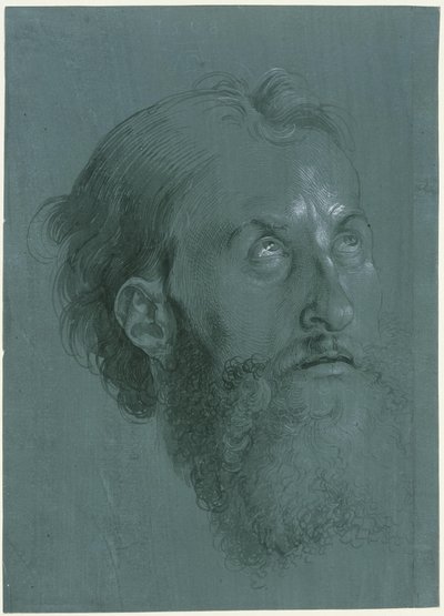  da Albrecht Dürer