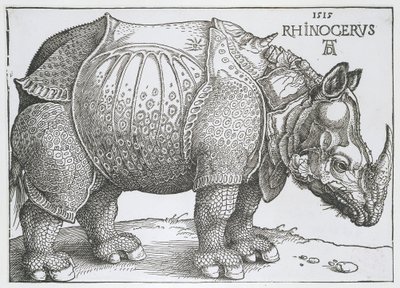 Rinoceronte (Rhinocerus) da Albrecht Dürer