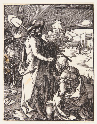  da Albrecht Dürer