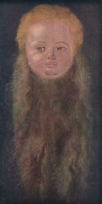 Ritratto di un ragazzo con una lunga barba, 1527, 1939 da Albrecht Dürer