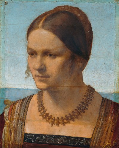  da Albrecht Dürer