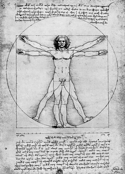 Proporzioni della figura umana da Albrecht Dürer
