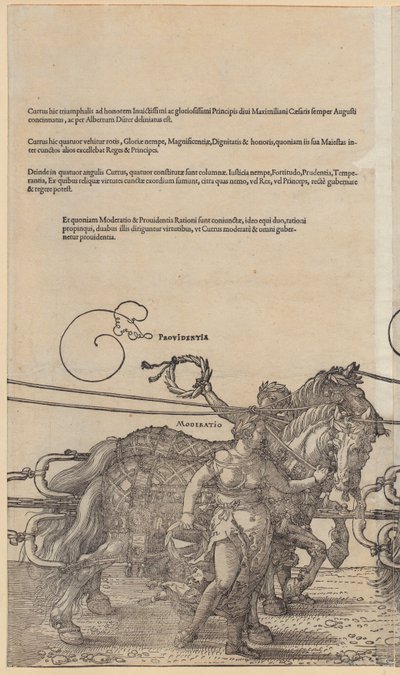  da Albrecht Dürer