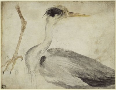  da Albrecht Dürer