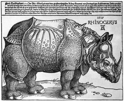 Rinoceronte, stampa donata a Massimiliano I dal Re di Lisbona, 1515, 1936 da Albrecht Dürer