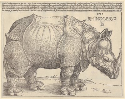  da Albrecht Dürer