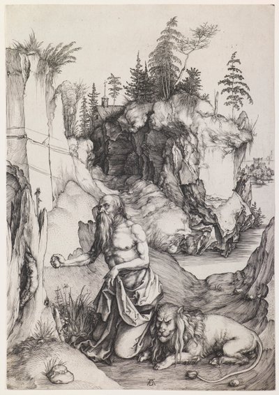  da Albrecht Dürer