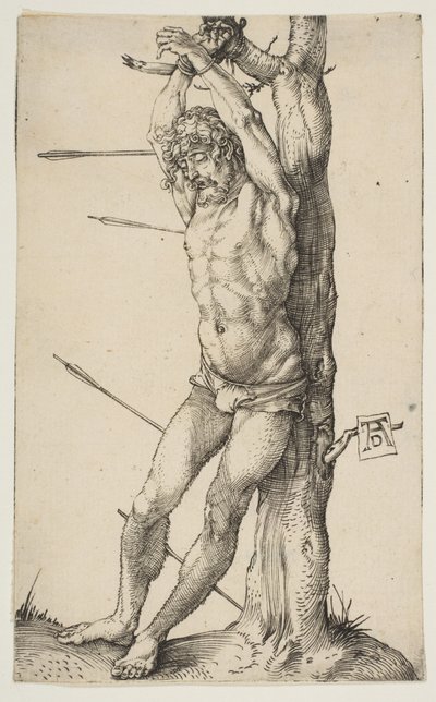  da Albrecht Dürer