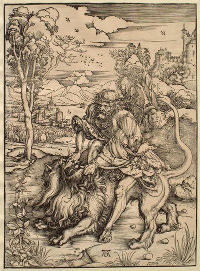  da Albrecht Dürer