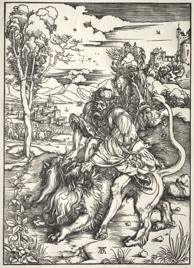  da Albrecht Dürer