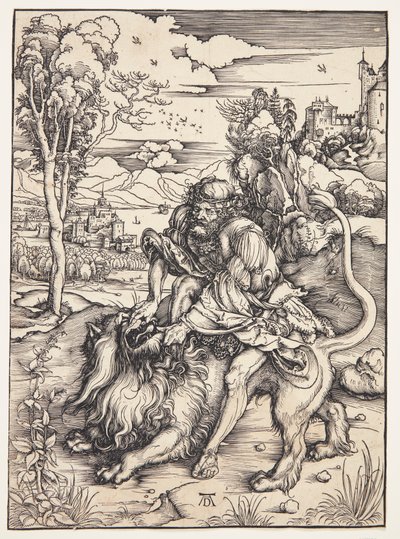  da Albrecht Dürer