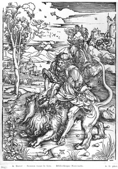 Sansone che uccide il leone, c.1496-98 da Albrecht Dürer