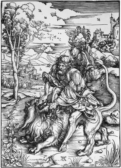  da Albrecht Dürer