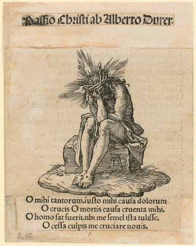  da Albrecht Dürer