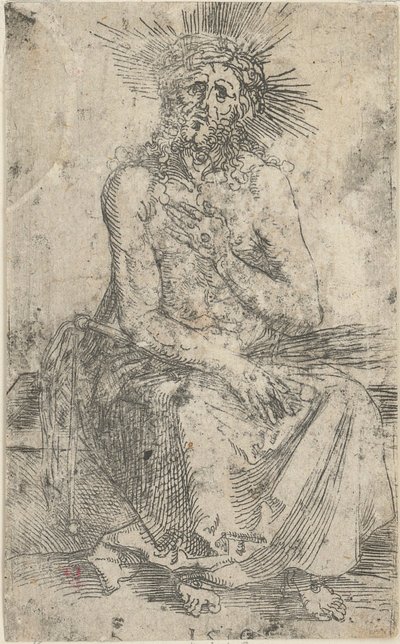  da Albrecht Dürer