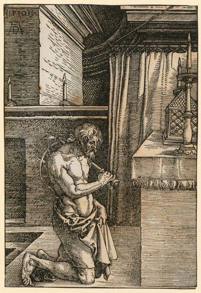  da Albrecht Dürer