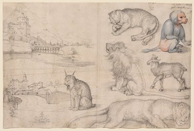  da Albrecht Dürer