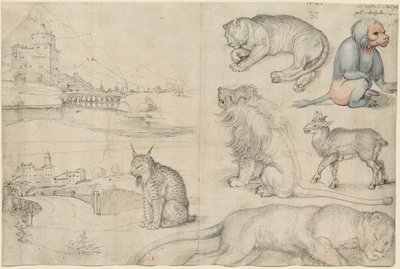 Schizzi di Animali e Paesaggi, 1521 da Albrecht Dürer