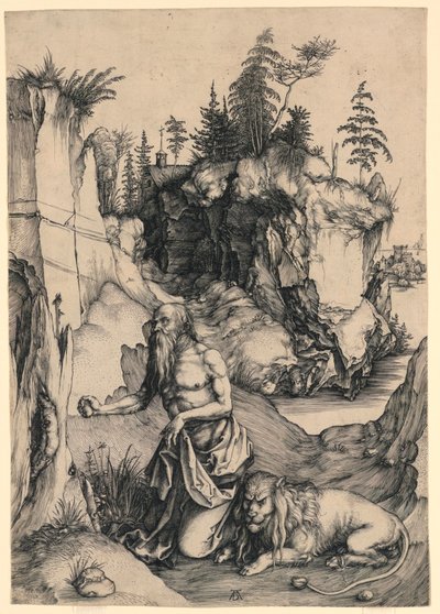 San Girolamo in penitenza da Albrecht Dürer