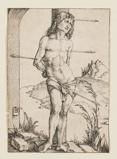  da Albrecht Dürer