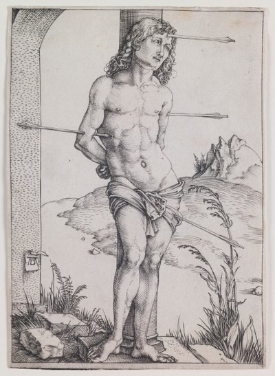  da Albrecht Dürer