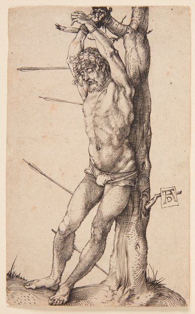  da Albrecht Dürer