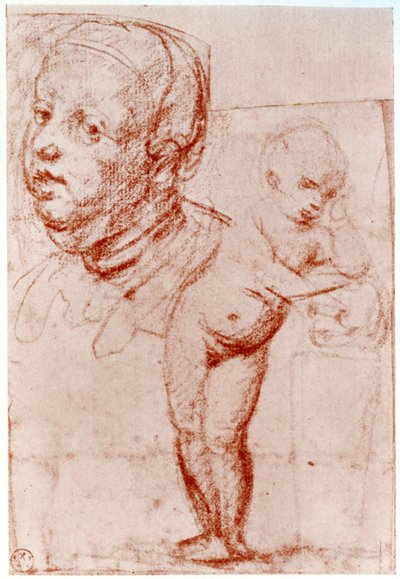 Studi da Albrecht Dürer