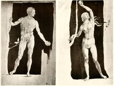 Studi su Adamo ed Eva da Albrecht Dürer