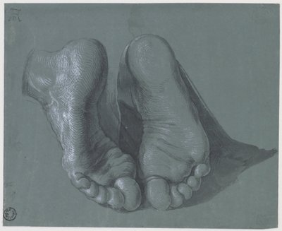 Studio di due piedi da Albrecht Dürer