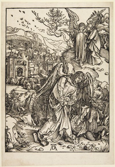  da Albrecht Dürer