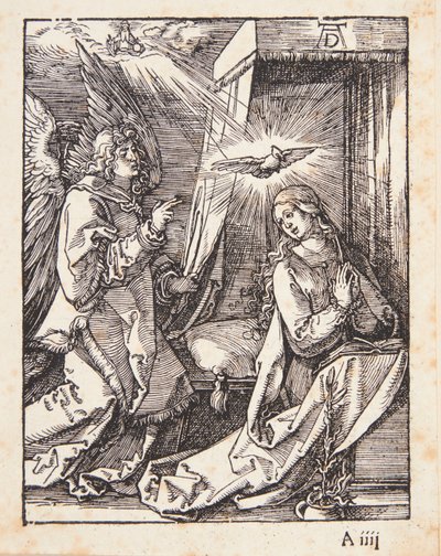  da Albrecht Dürer