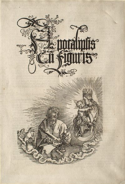  da Albrecht Dürer