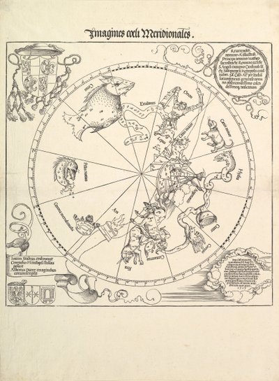 Globo celeste-emisfero meridionale, 1515 da Albrecht Dürer