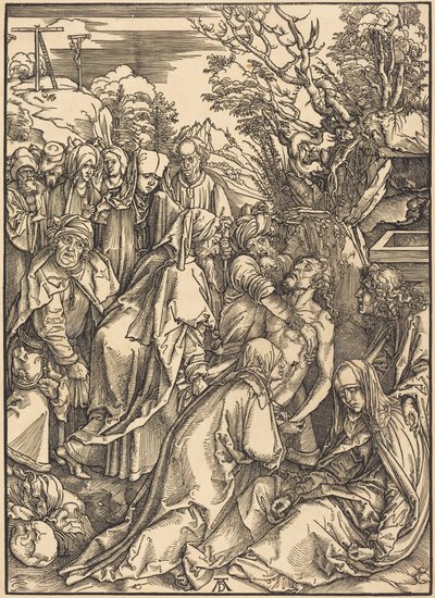  da Albrecht Dürer