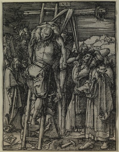  da Albrecht Dürer