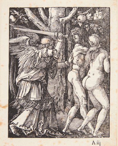  da Albrecht Dürer