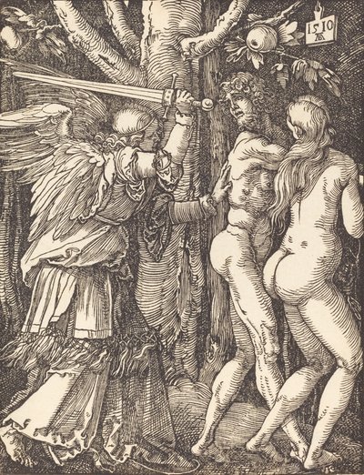 La cacciata dal Paradiso da Albrecht Dürer