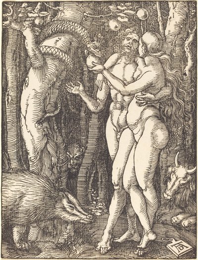 La caduta dell