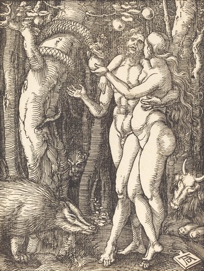 La Caduta dell