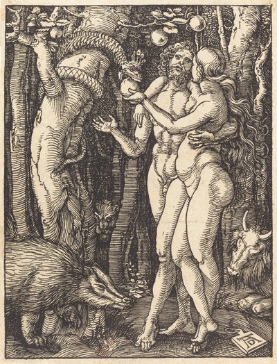 La caduta dell