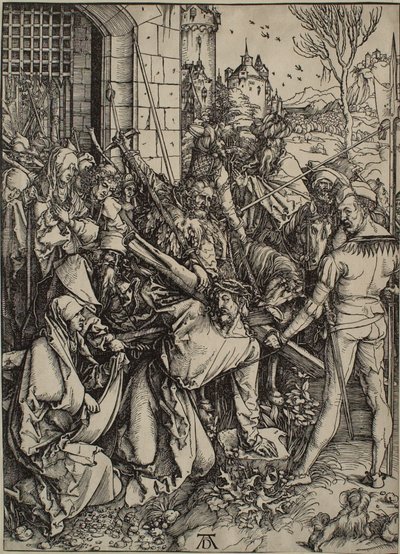 da Albrecht Dürer