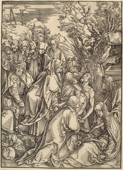  da Albrecht Dürer