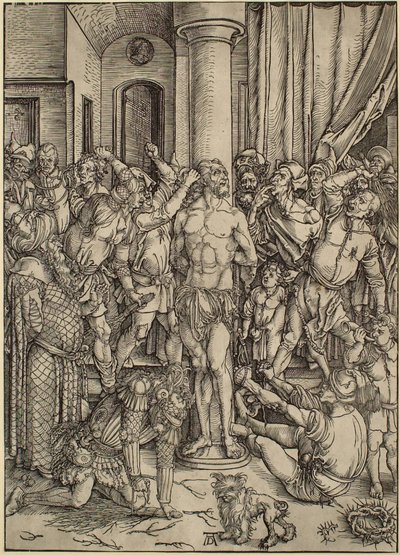  da Albrecht Dürer