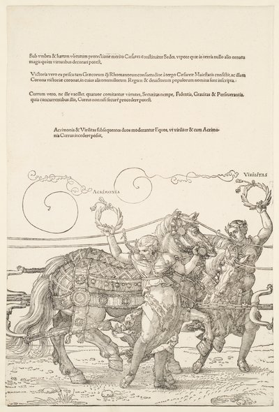  da Albrecht Dürer