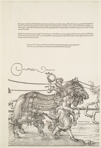  da Albrecht Dürer