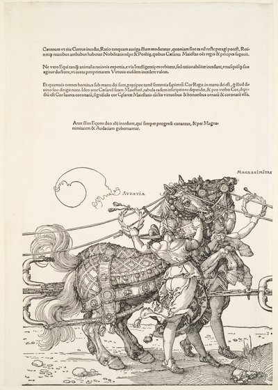  da Albrecht Dürer
